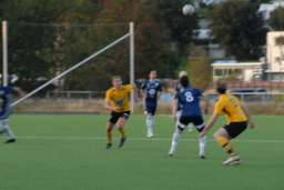 Varfjell - Tomrefjord 2021